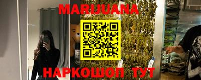 гидропоника Новоалександровск