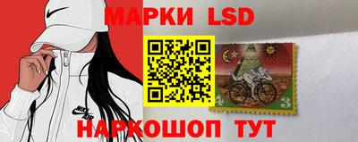 гидропоника Новоалександровск
