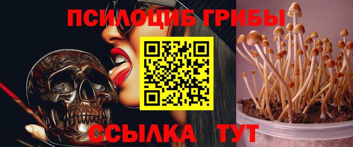 Псилоцибиновые грибы GOLDEN TEACHER Луховицы